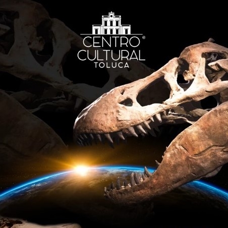 Visita el Centro Cultural Toluca
