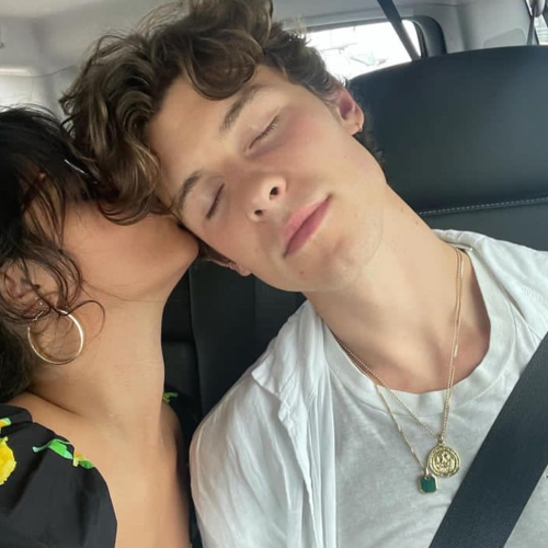 ¿Camila Cabello y Shawn Mendes?