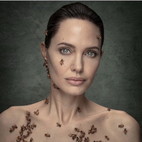 Angelina Jolie cubierta de abejas, posa para NatGeo 