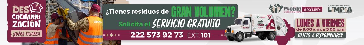 Descacharrización